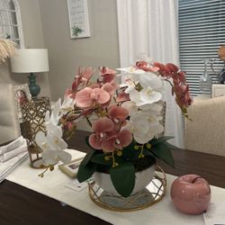 Orquídeas 