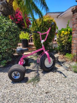 Rhino Tricycle