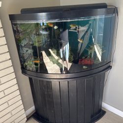 65 Gallon Tank 