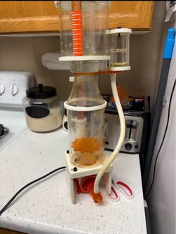 Icecap k1- 100 protein skimmer