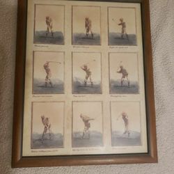 Golf Wall Art (SIGNED!)