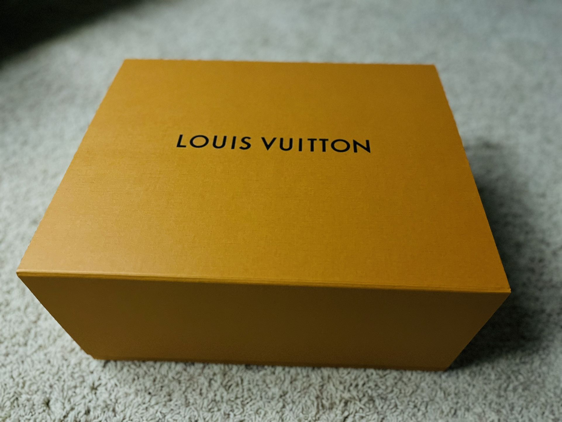 Louis Vuitton Box Large