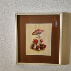 Mushrooms By Otto -Wolfgang Mueller Otto Print,
