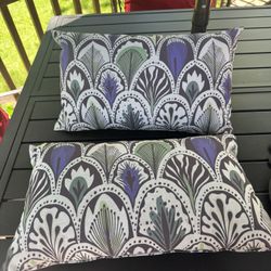 2 Outdoor Pillows 