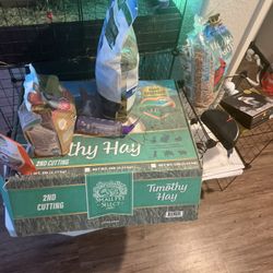 Free Guinea Pig Stuff