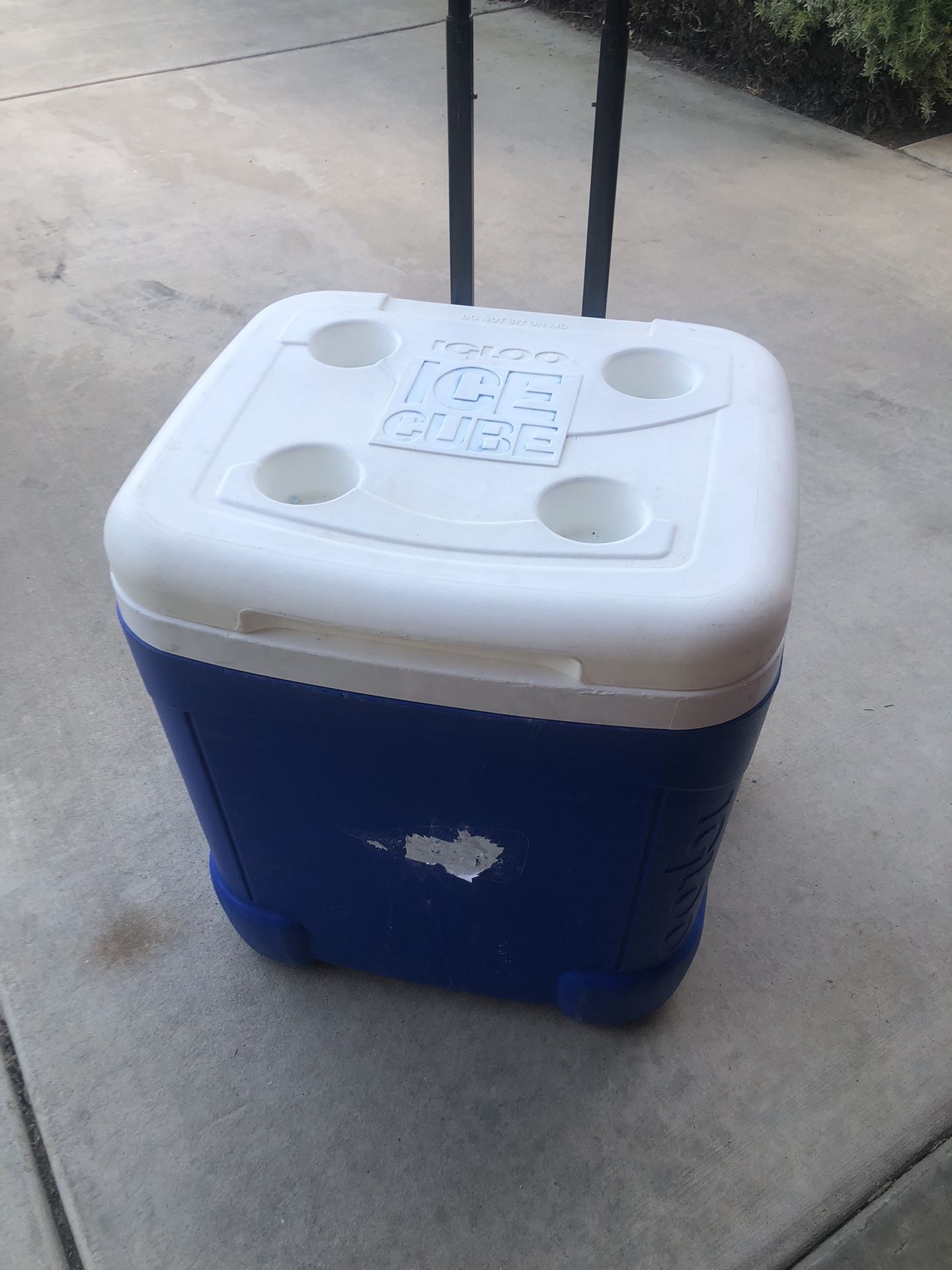 Igloo Ice Cube Cooler