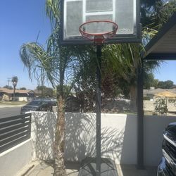 Basketball Hoop