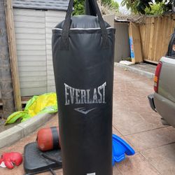 Everlast MMA Punching Bag 