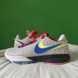 Nike Lebron 20 Nike Lifer Size 10.5