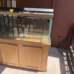 100 Gallon Aquarium (with filters)