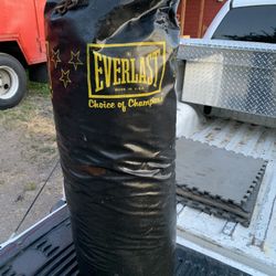 Everlast Punching Bag