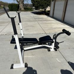 Nautilus Free Weight Bench Rack