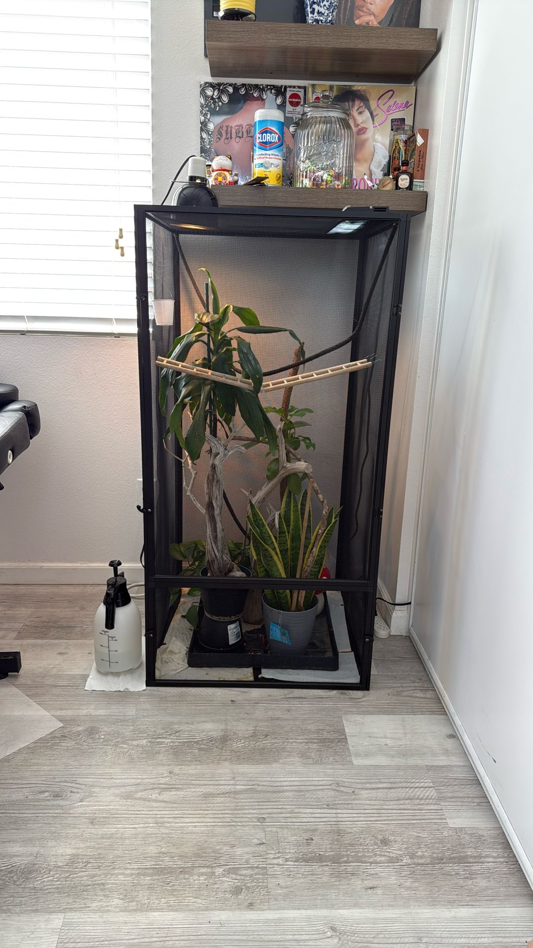 Chameleon Cage Lights And Plants