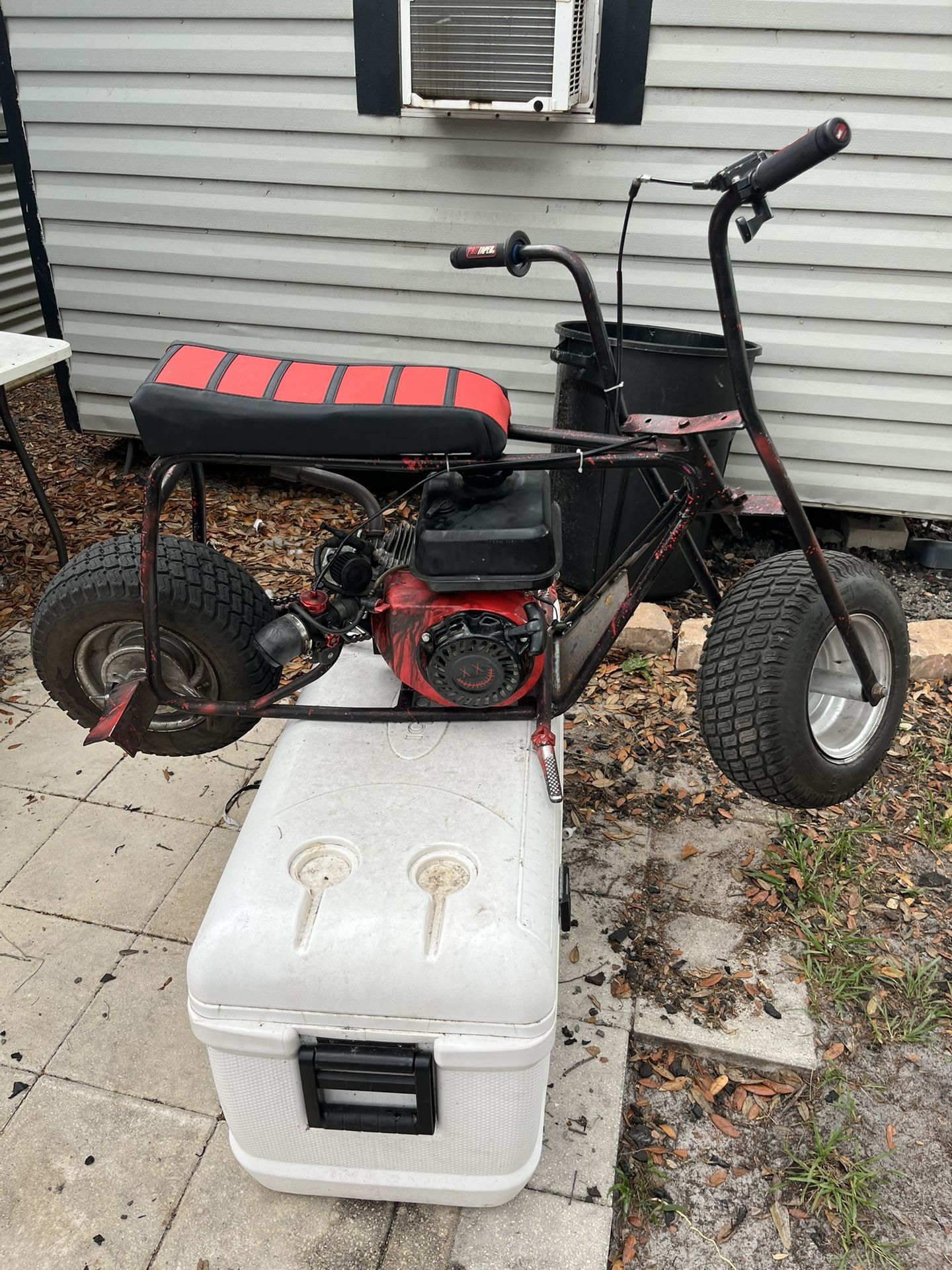 mini bike fully rebuilt (read description trades only)