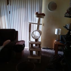 Cat Tree 