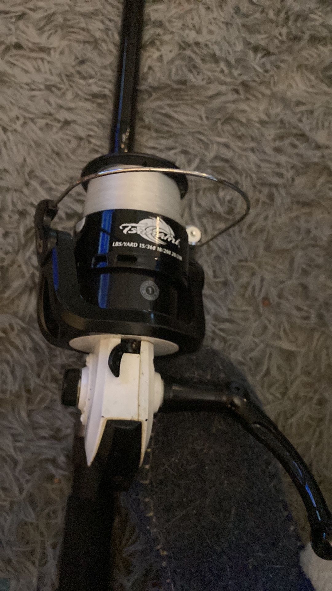 Fishing pole