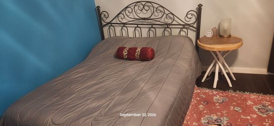 🛏️ Beautiful Vintage-Style Metal Bed Frame