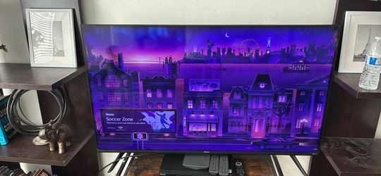 Rouktv 48in smart tv