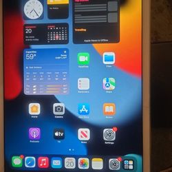 IPad Mini 4 64g