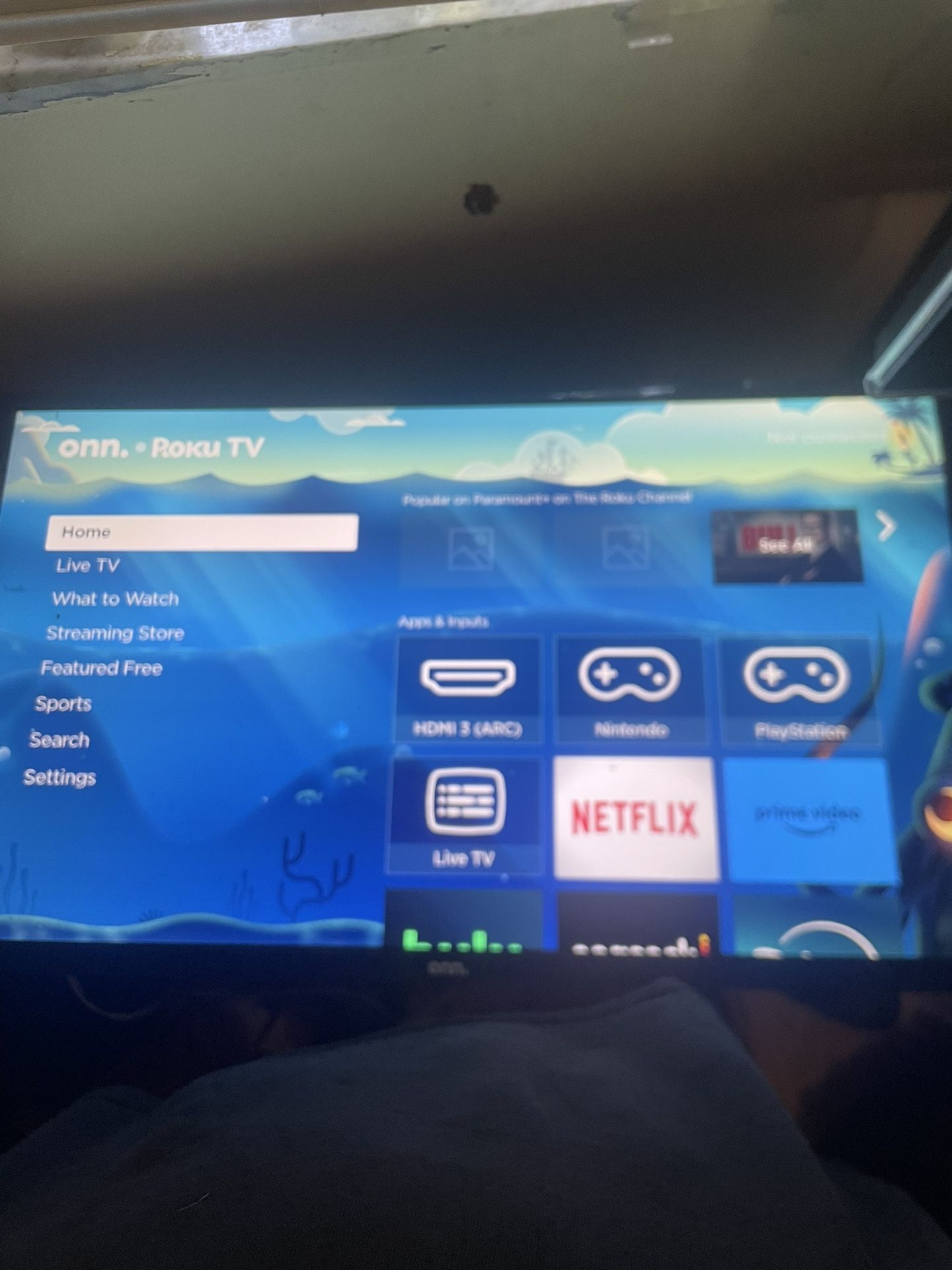 Smart Roku Tv