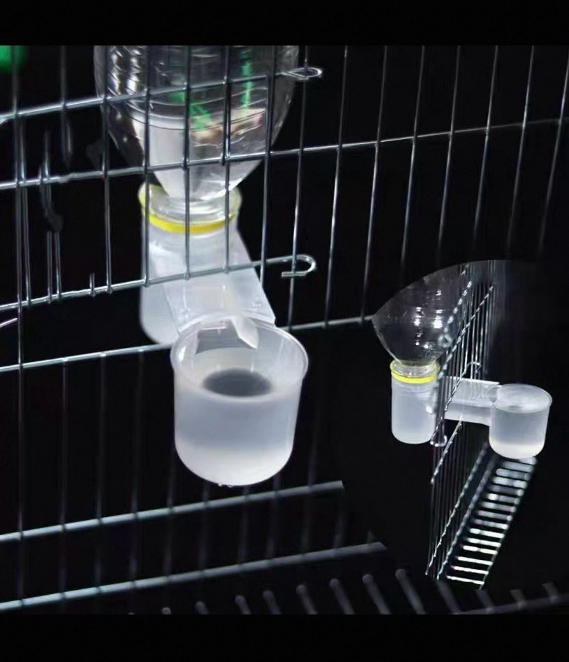 Bird Drinker Feeder Plastic Soda Pop Water Bottle Cup Ideal for Birds