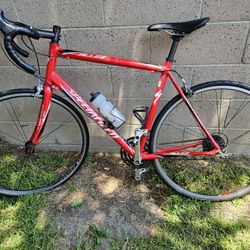 Specialized Custom 10 Speed, Many Options