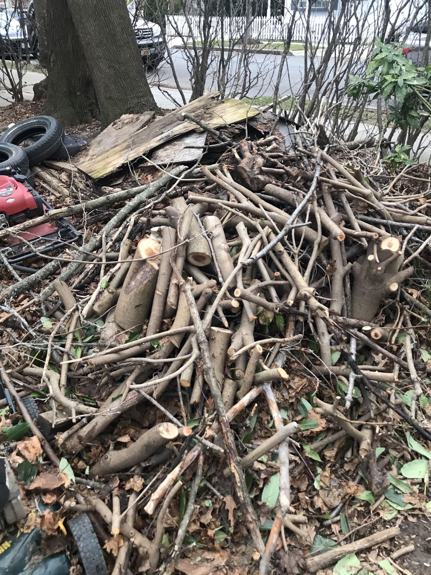 FREE. FIRE WOOD. TAKE. IT ALL.