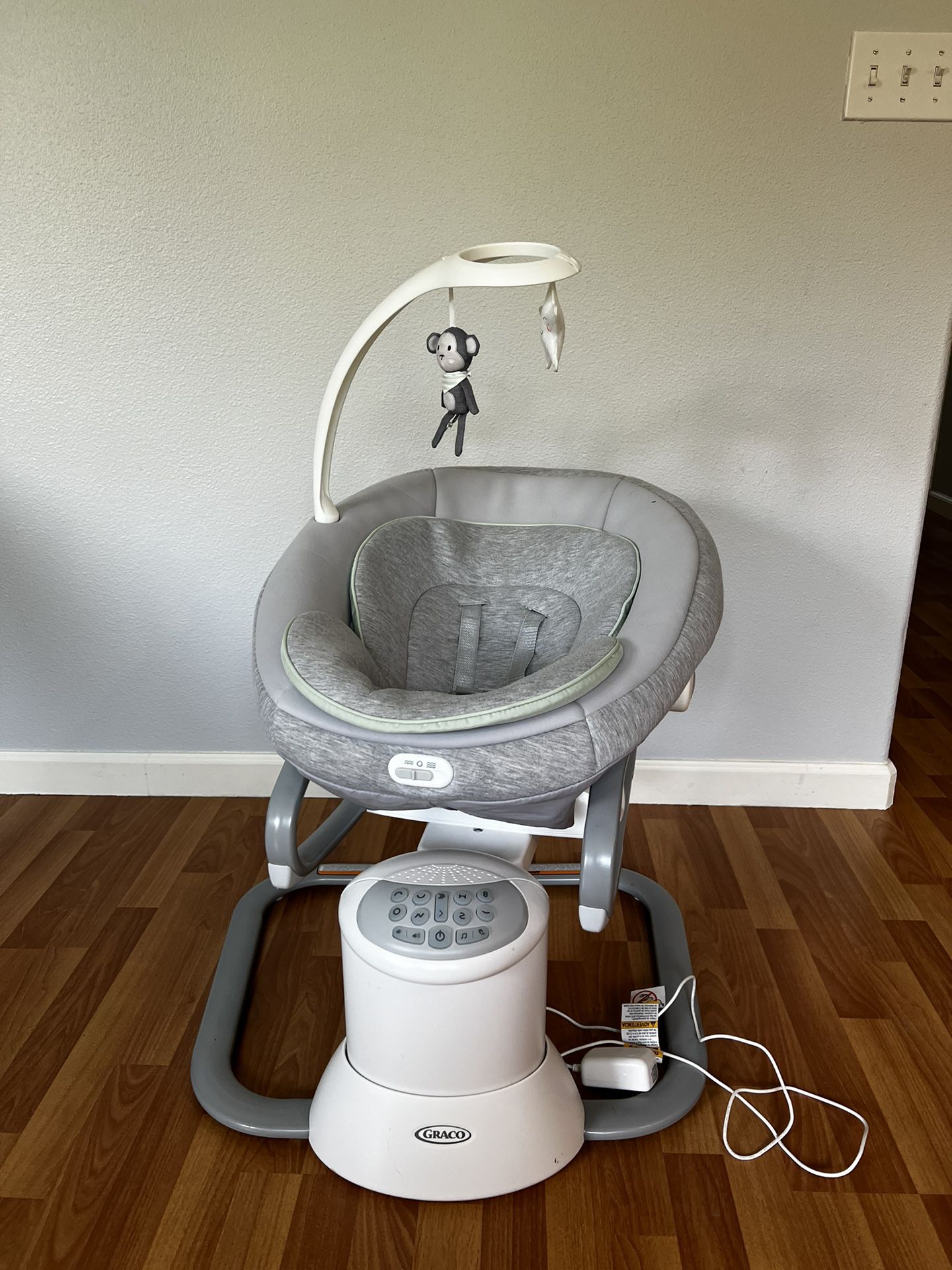 The Graco Baby Swing 