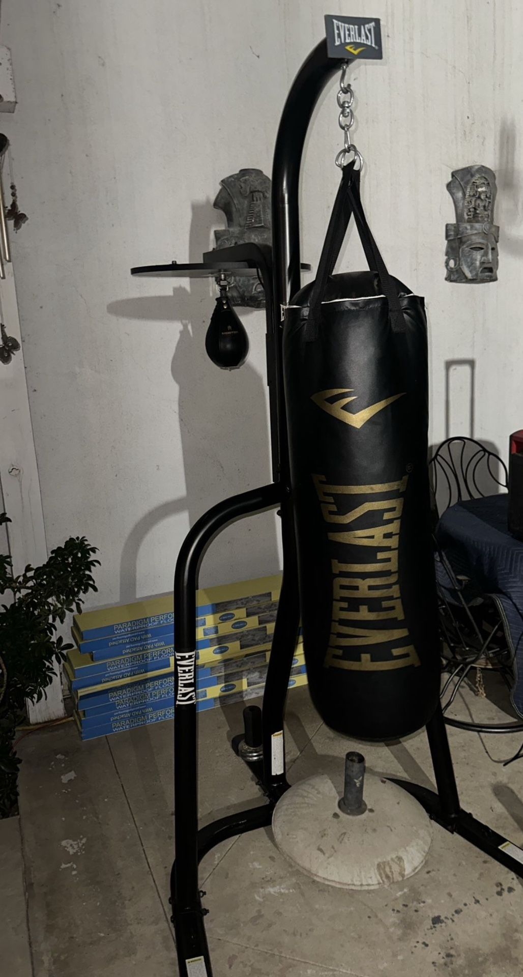 Everlast Boxing Bad And Speed Bag