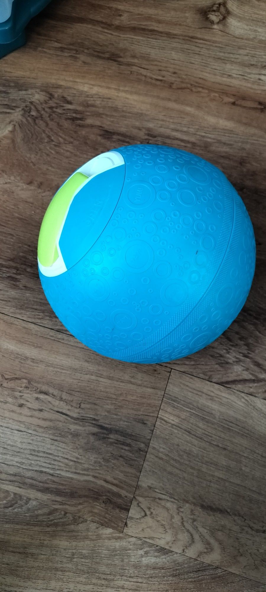 Softshell Ice Cream Ball