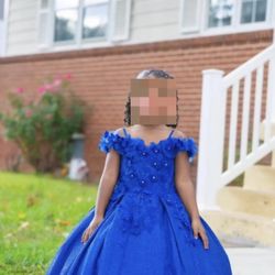 Royal Blue Mini Quinceañera Dress / Flower Girl Dress 