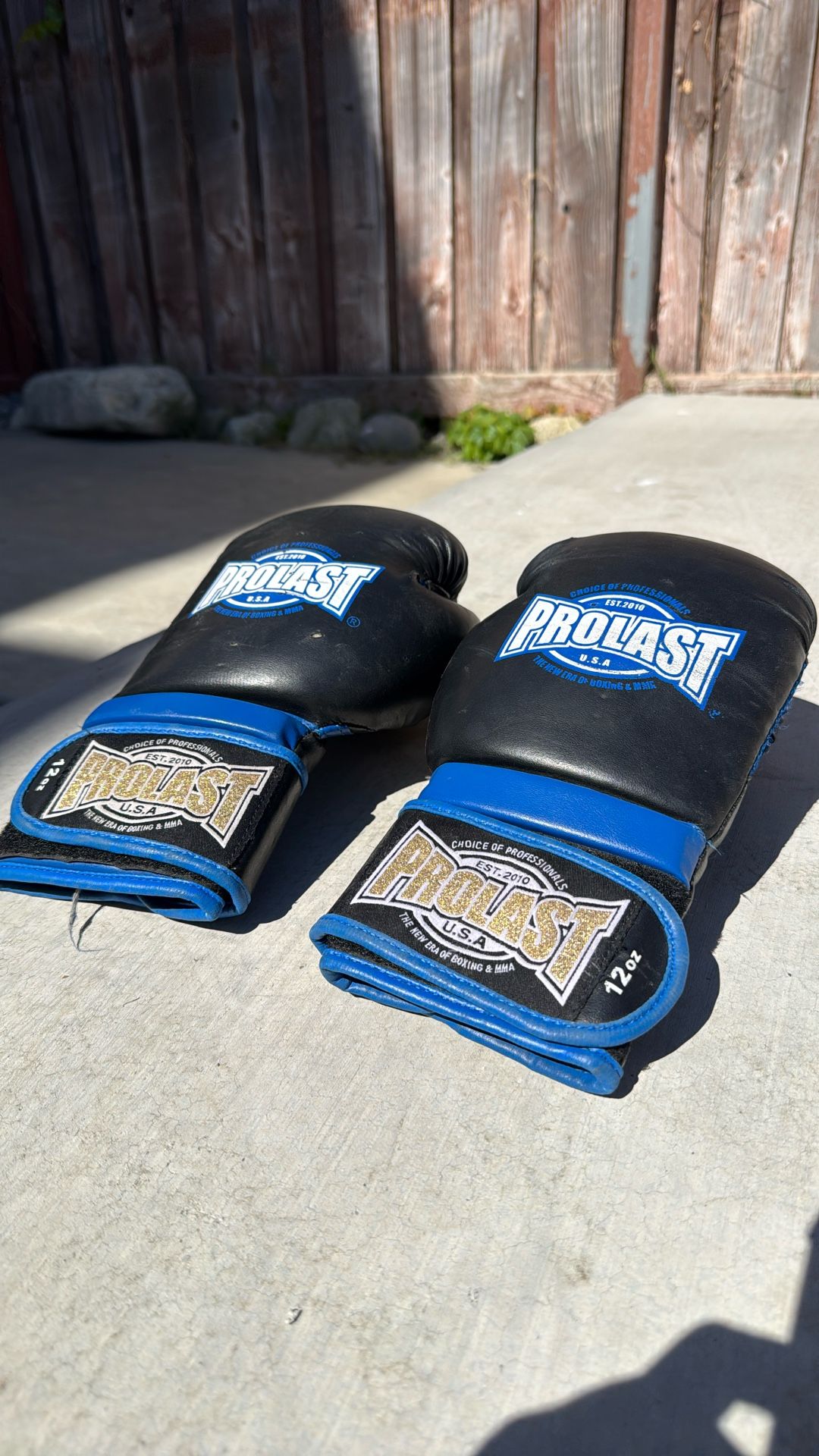 Used Boxing Gloves 12oz