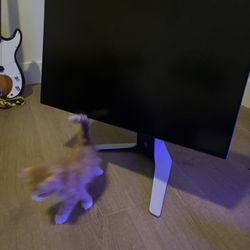 Alienware 27” 240 Hrz 1440p Monitor 