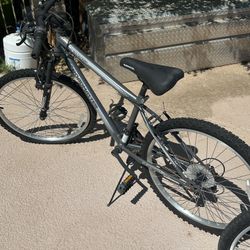 Roadmaster Bike 