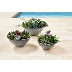 Member's Mark Tabletop Planter, Set of 3 $39.99