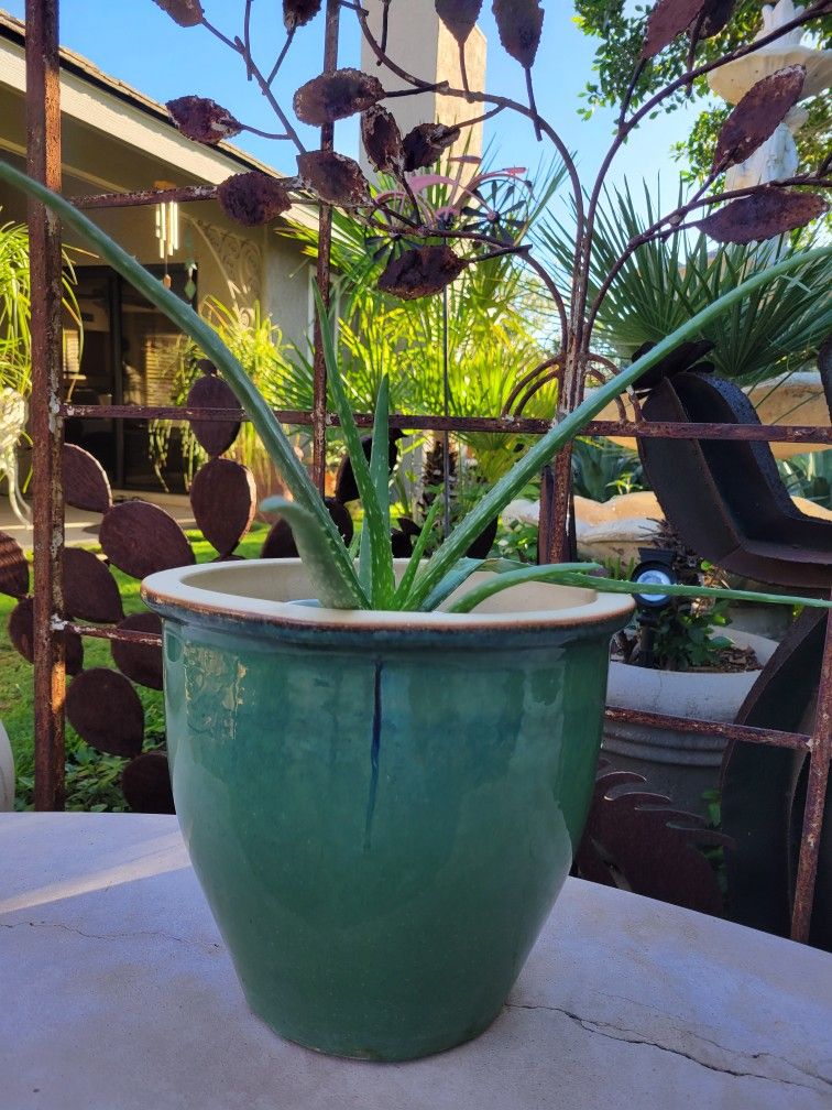 Glazed Iridescent Green Pot