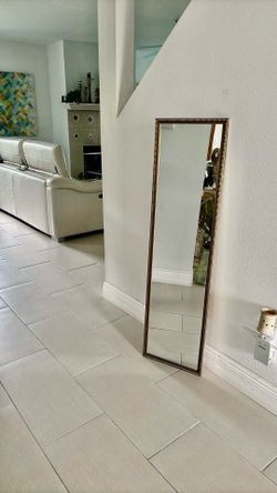 Door mirror size 13”x 49” frame color gold