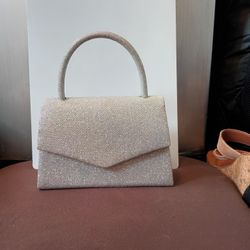 Woman's Evening Bag
