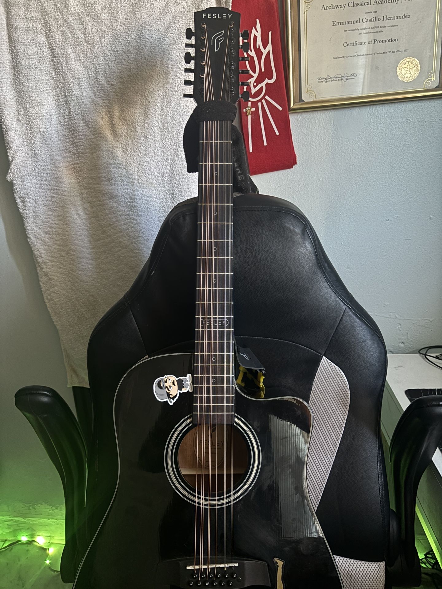 12 String Guitar