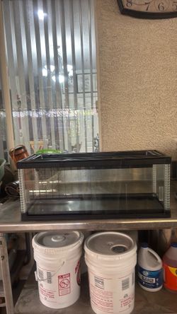 Reptile Tank
