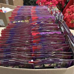 Pokemon Ascending Heroes 