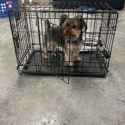 Crate For Small Animal 
