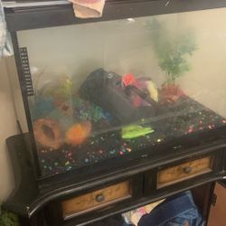 10 Gallon Fish Tank