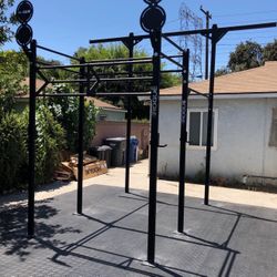 Rogue Fitness Infinity Rig