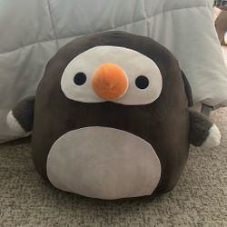 Walgreens Exclusive Squishmallow 16 In