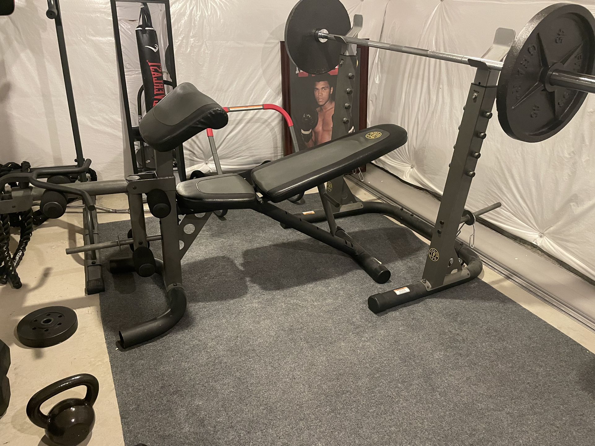 Golds Gym Curl Bench And Adjustable  Rack
