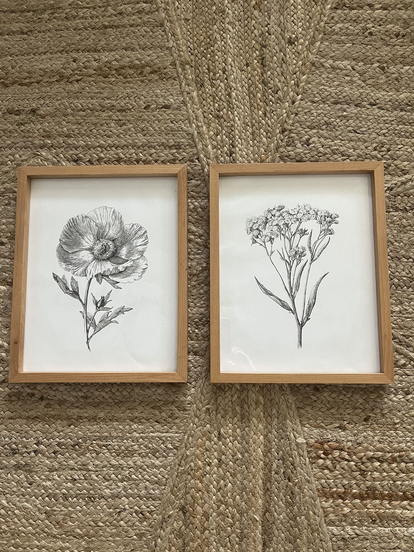 Framed Botanical Print Set
