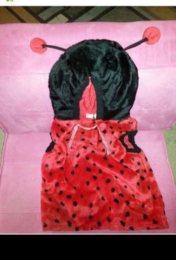 Lady bug costume child size