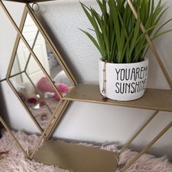 Chic GOLD Hexagon Wall Shelf w/ Mirror Backing - Geometric Display