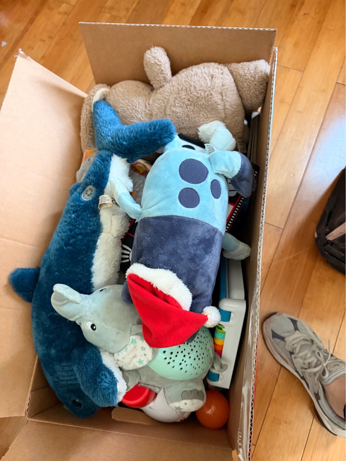 Bag/Box Toys